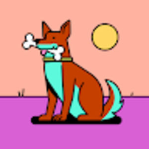 Meet your Posher, Katelin